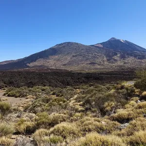 Mt Teide volcano in the Teide National Park Mt Teide volcano in the Teide National Park