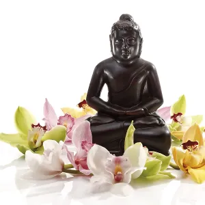 Multicoloured orchid blossoms (Orchidaceae) in front of a black Buddha statue