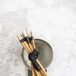 Multiple bamboo paint brushes tied with a black ribbon are resting on a ceramic bowl on a textured gray surface Multiple bamboo paint brushes tied with a black ribbon are resting on a ceramic bowl on a textured gray surface