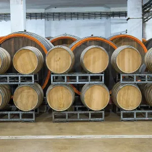 Murfatlar winery, Cellar, Constanta County