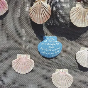 Several mussels and a blue mussel with a quote attached to a net