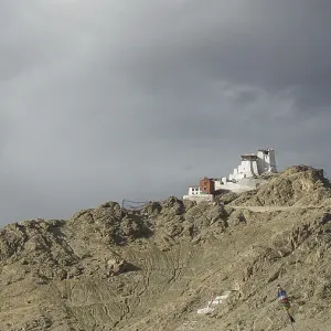 Namgyal Tsemo Monastery Print, Leh Himalayas