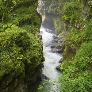 Narrow gorge with flowing water surrounded by mossy rocks Narrow gorge with flowing water surrounded by mossy rocks
