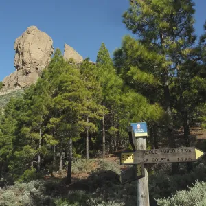 Natural landscape with rocks and conifers Natural landscape with rocks and conifers