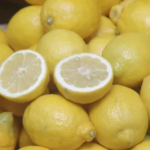 Nature, Fruit, Citron, Citrus Limon, Rutaceae Nature, Fruit, Citron, Citrus Limon, Rutaceae