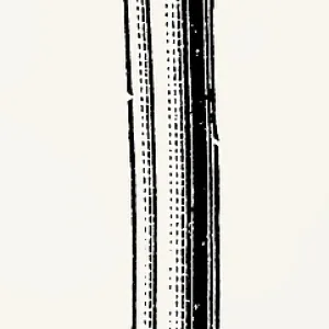 Needle-shaped (spruce). Antique stylized illustration