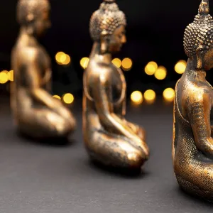 Netherlands. October 2022.buddha statue in calm rest pose