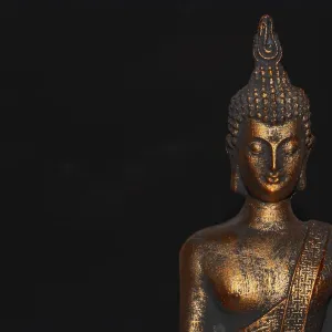 Netherlands. October 2022.buddha statue in calm rest pose