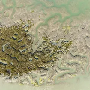 Network of channels and streams at low tide