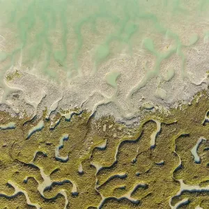 Network of channels and streams at low tide