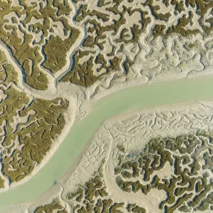 Network of channels and streams at low tide