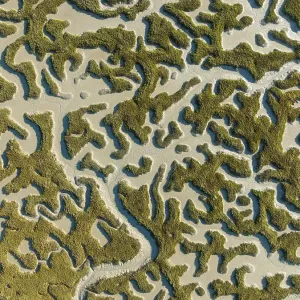 Network of dry channels and streams at low tide