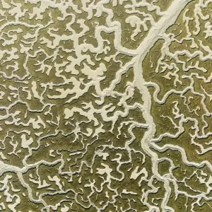 Network of dry channels and streams at low tide