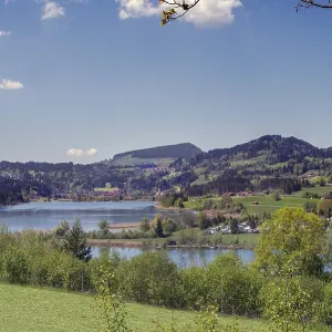 Niedersonthofen with spring meadows