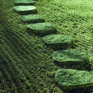 Night image of stone pathway in Japanese zen garden