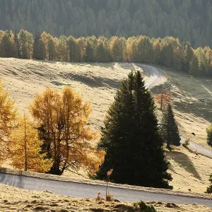 Nockalm road, Nockberge Biosphere Reserve