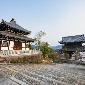 Nokotsudo and Sanmon Gate in the evening light with blooming cherry trees Nokotsudo and Sanmon Gate in the evening light with blooming cherry trees