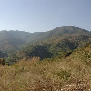 North Malawi landscape