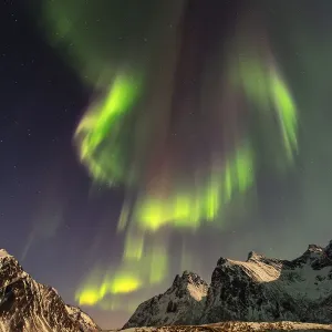 Northern lights (Aurora borealis)