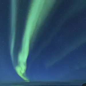 Northern Lights (Aurora borealis)