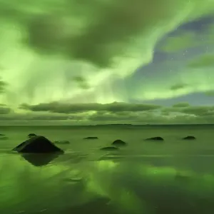 Northern Lights, Aurora Borealis above the beach of Utakleiv
