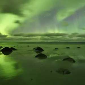 Northern Lights, Aurora Borealis above the beach of Utakleiv