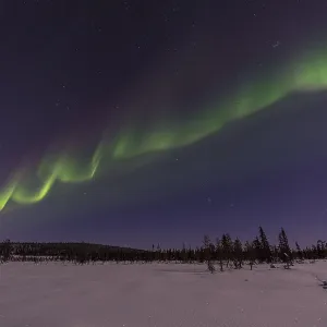 Northern Lights (Aurora borealis) over a moonlit winter landscape