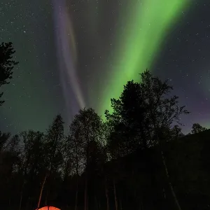 Northern Lights (Aurora borealis) reflected in a lake