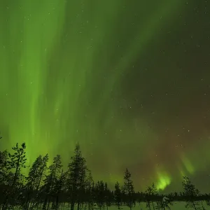 Northern Lights (Aurora borealis) over snowy landscape Northern Lights (Aurora borealis) over snowy landscape
