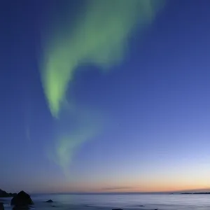 Northern Lights on Utakleiv Beach