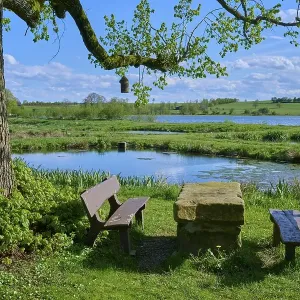 Ober- Moosersee surrounded by green fields and trees and a stone table with benches under a partly cloudy blue sky Ober- Moosersee surrounded by green fields and trees and a stone table with benches under a partly cloudy blue sky