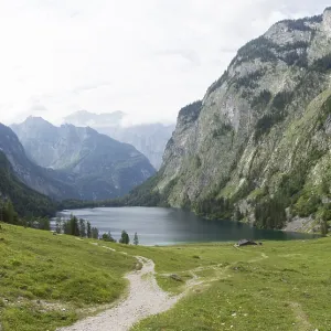 Obersee