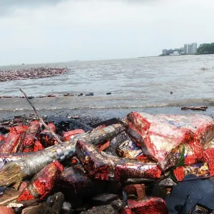 Oil soaked biscuit packets floating due to container ship chitra colliding in sea Bombay Mumbai Oil soaked biscuit packets floating due to container ship chitra colliding in sea Bombay Mumbai