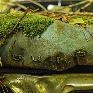 Old Abandoned Buick Car in a Forest Print Old Abandoned Buick Car in a Forest Print