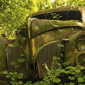 Abandoned Car in Forest Print Abandoned Car in Forest Print