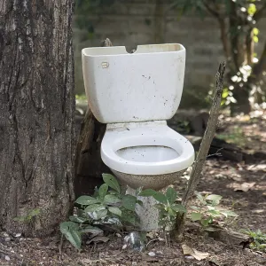 Old broken toilet stands in the woods near a tree Old broken toilet stands in the woods near a tree