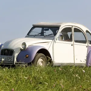 An old Citroen 2CV parking on a meadow