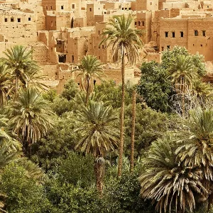 Old city surrounded by the palm and date trees in Ouarzazate Old city surrounded by the palm and date trees in Ouarzazate