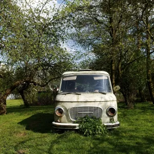 Old minibus from the DDR in an orchard