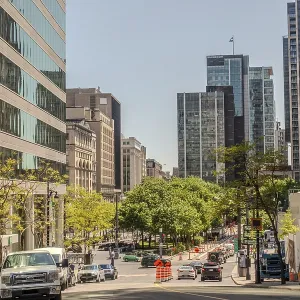 Vue de rue du Vieux-Montréal avec des bâtiments historiques.