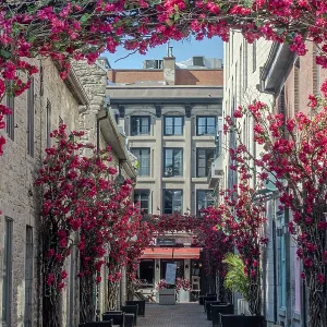 Vue de rue du Vieux-Montréal avec des bâtiments historiques.