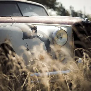 An old, rusted Jaguar car with overgrown grass