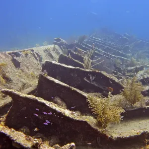 An old shipwreck on the seabed