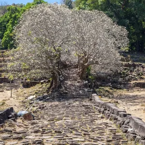 Old stairs at Wat Phou temple, Laos