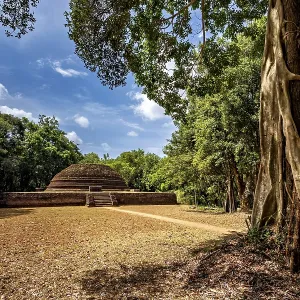An old stupa between tall trees with a clear sky and shady areas An old stupa between tall trees with a clear sky and shady areas