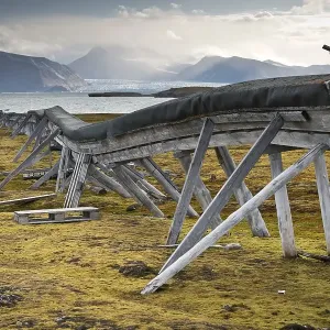 Old water pipeline, on stilts above ground because of the permafrost Old water pipeline, on stilts above ground because of the permafrost