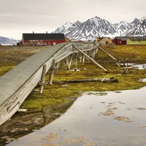 Old water pipeline, on stilts because of the permafrost Old water pipeline, on stilts because of the permafrost