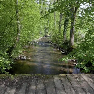 Old wooden bridge over a creek in a beautiful spring forest