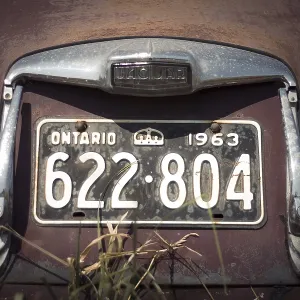 Ontario license plate on a vintage Jaguar car with visible rust and age in rural Huron County