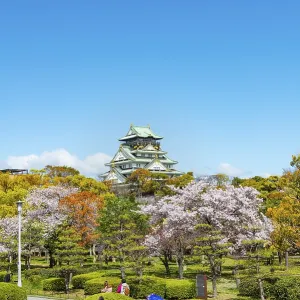 Osaka castle with blooming cherry trees in the park